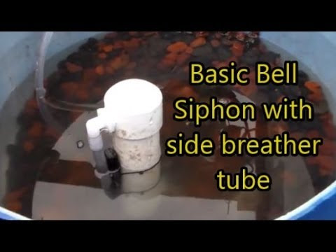 aquaponics basic bell siphon test with side breather tube