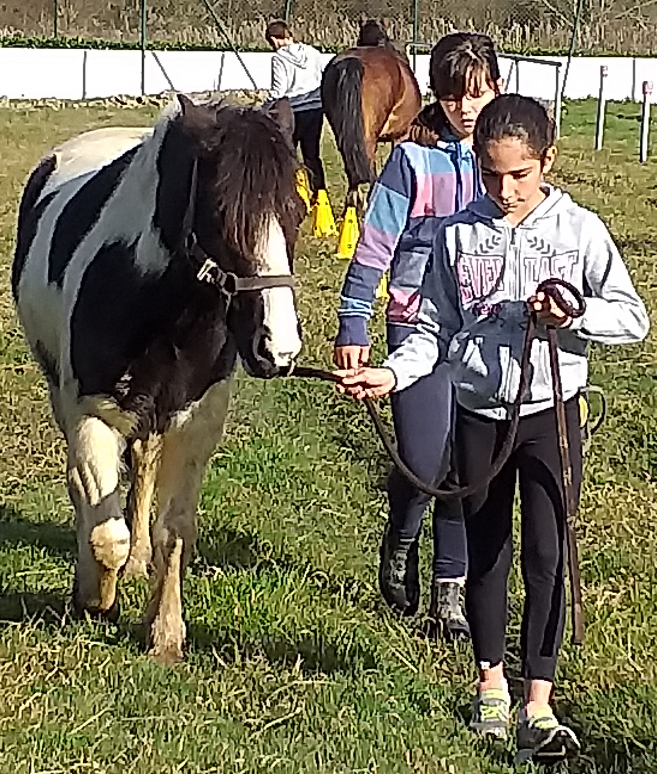Joyeux Anniversaire Romane 11 Ans Ecole Des Salines