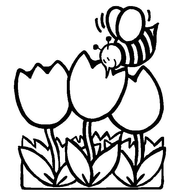 Free Spring Coloring Pages Download Free Spring Coloring Pages Png Images Free Cliparts On Clipart Library