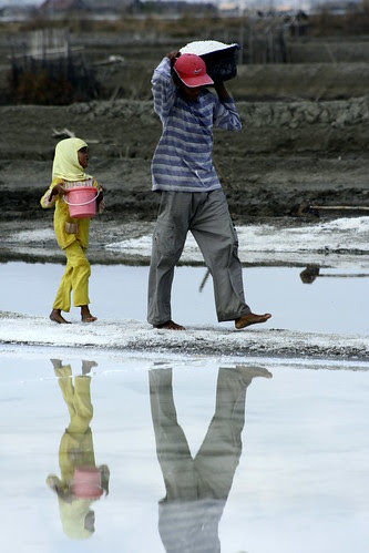 collecting salt