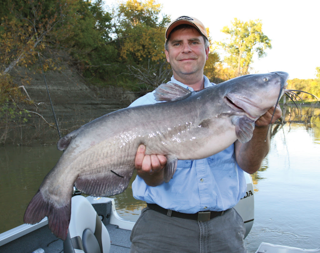 Best Fishing Line for Catfish - In-Fisherman