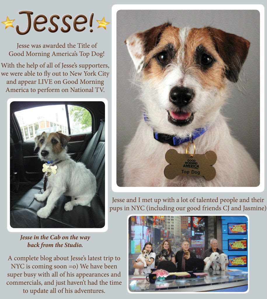 JesseBlogTOPDOG111.jpg JesseBlogTOPDOG111