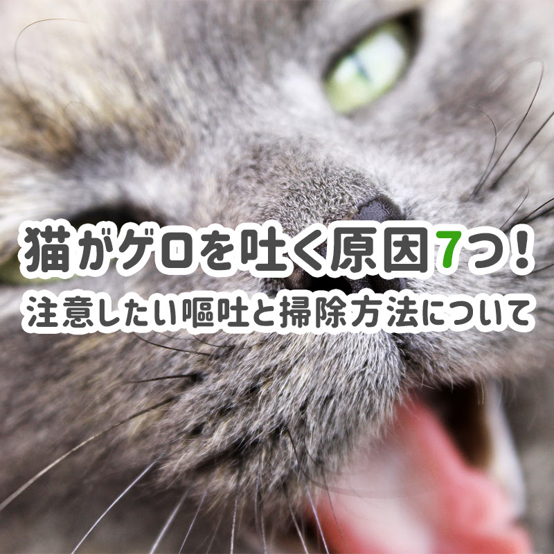 猫がゲロを吐く原因7つ 注意したい嘔吐と掃除方法について