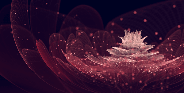 信じられないほど美しい フラクタルアートな花 Fractal Flowers Style4 Design