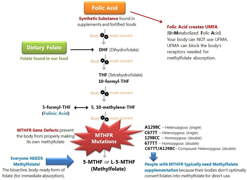 Image result for mthfr symptoms