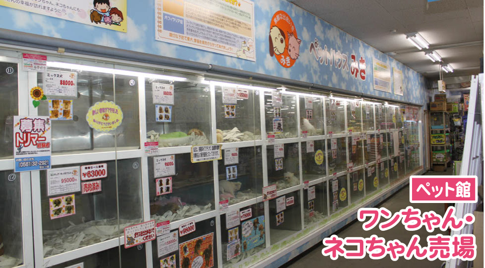 三貴フラワーセンター