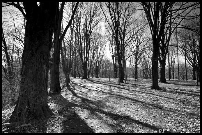 Duran Eastman Park Rochester New   York