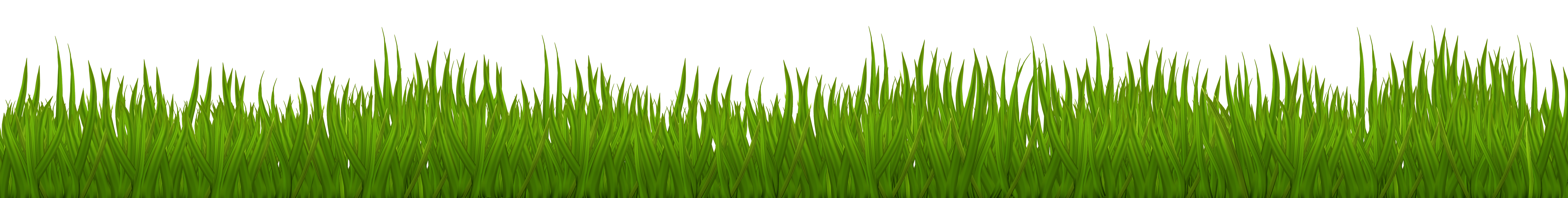 Download Grass Vector at GetDrawings | Free download
