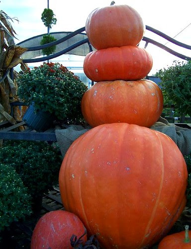 Pumpkin pileup by Valerie Everett