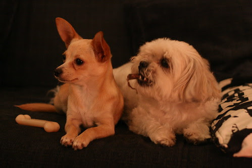 Lunchie & Sunny
