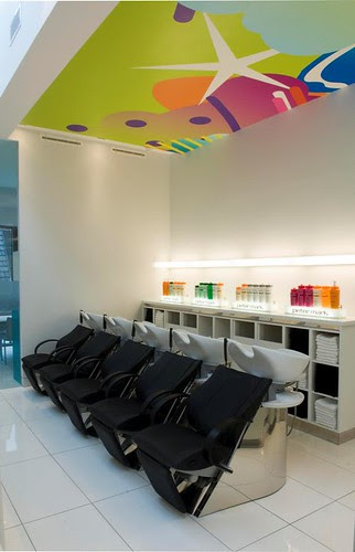 hairstyling salon. hair styling salon Peter