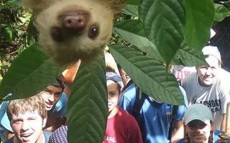 Sloth Yang Nakal