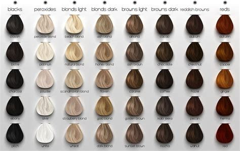  colour chart ash hair color hair color chart brown hair color chart