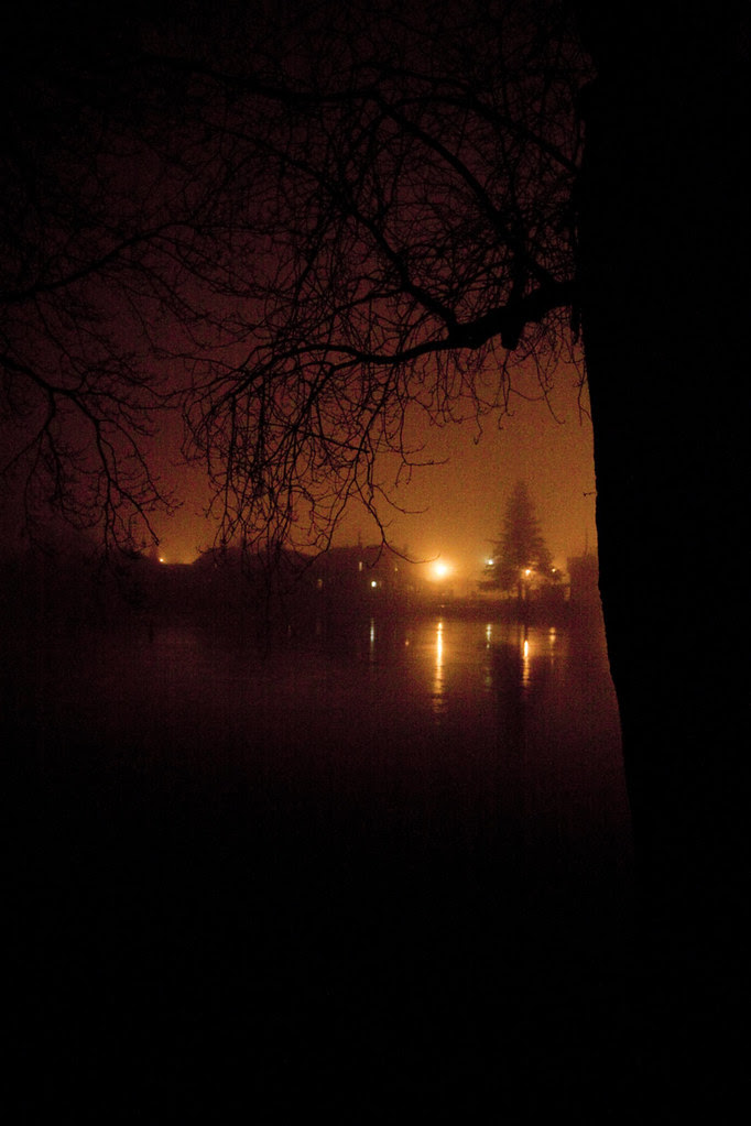 night view3