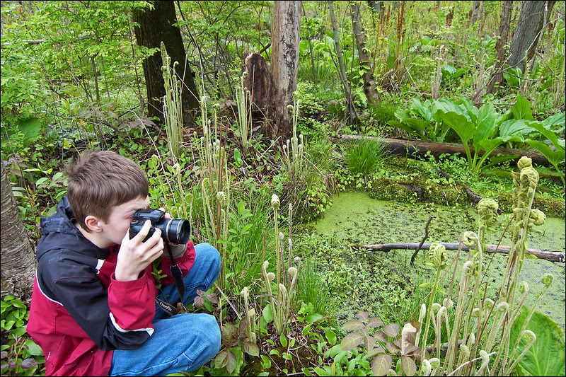 Capturing a Prehistoric Looking Landscape