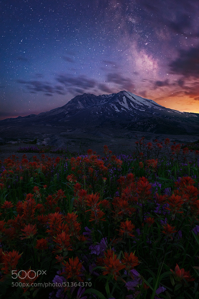 mount saint helens