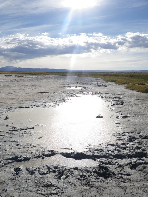 IMGP7892