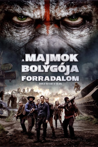 Kép