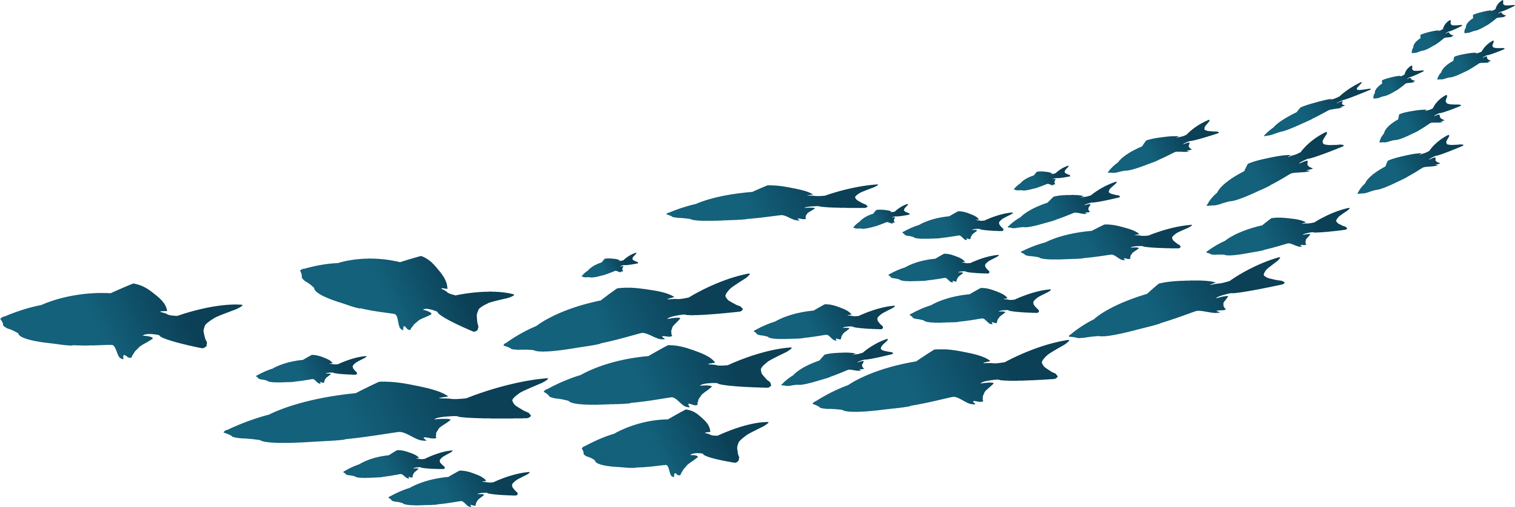 Download Download - Dark blue simple fish png download - 3001*1004 ...