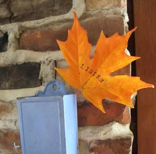 words at my back door