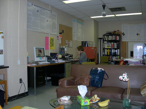 My lab