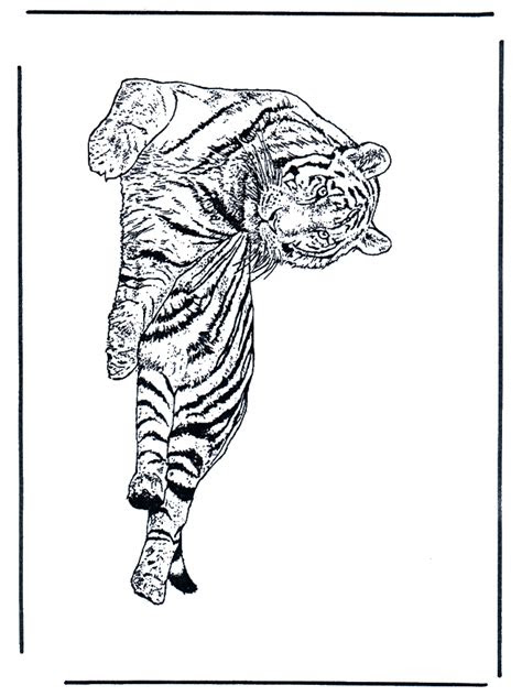tigre  coloriages chats