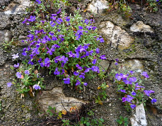 DSC00558 - Version 2