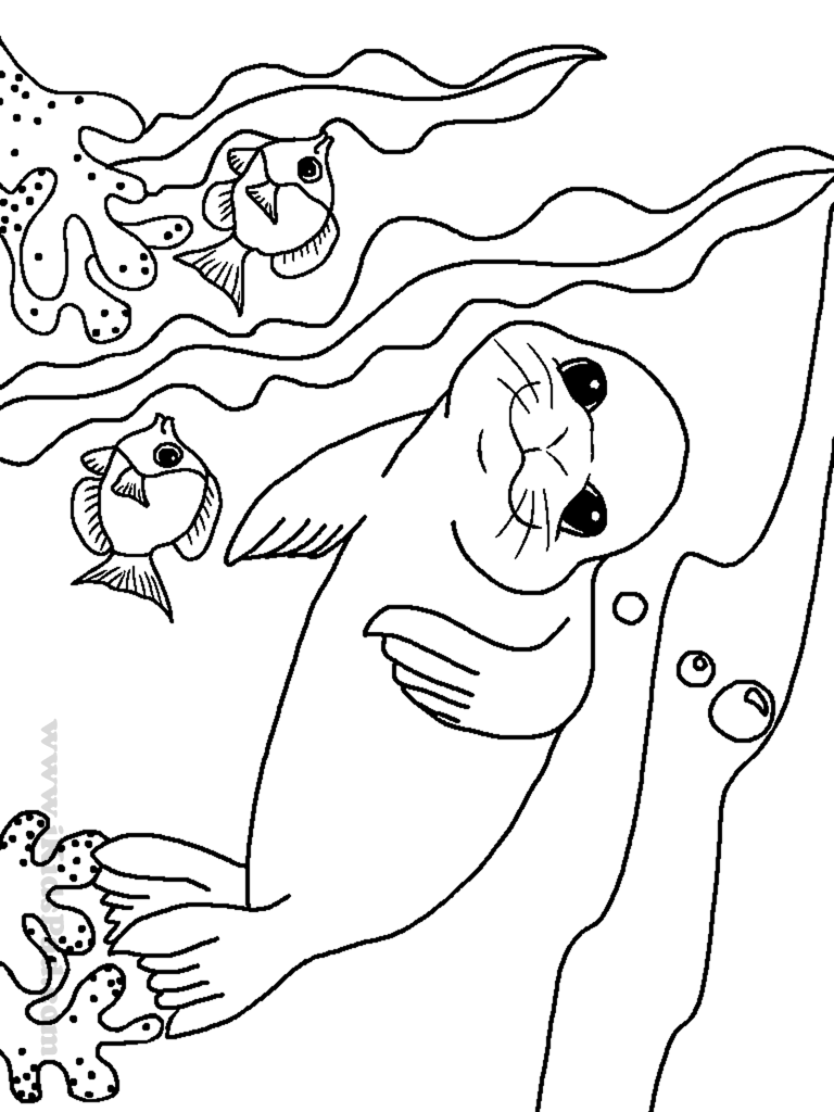 Download Sea animal coloring pages to download and print for free