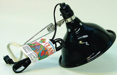 Zoo Med Economy Clamp Lamp with 8.5-Inch Dome, Chrome
