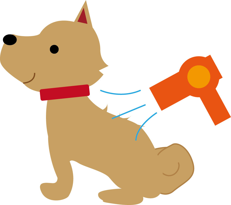 犬にドライヤーを使うときの注意点と嫌がらない裏技
