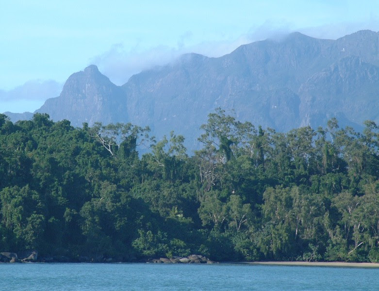 southern tide nautical knot sheet se