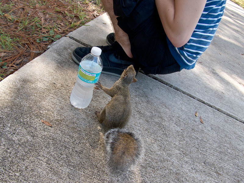 Hillsborough River State Park