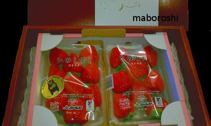 いちご 熊本産 ひのしずく まぼろしの果実 ｃｏｍ