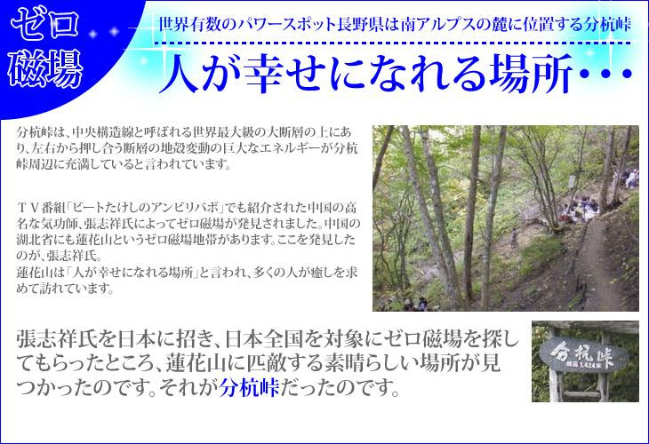 ゼロ磁場の秘水1l 12本 長野県分杭峠 １ｌ当り 世界有数のパワースポット長野県分杭峠の弱アルカリ性水軟水 ミネラルウォーター ペットボトル ゼロ磁場の秘水 軟水ペットボトル 記憶力のお悩みにヤマブシタケきのこ健康食品店
