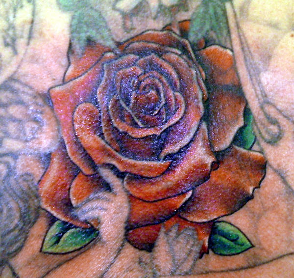 rose tattoo stencils