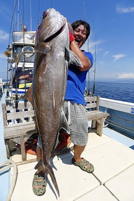 釣果報告 衝撃のホットニュース スロージギングで35kgのカンパチをキャッチ 湘南ルアー情報局