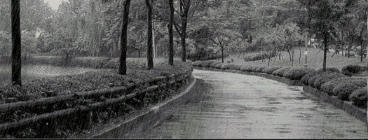 Black And White Garden animated GIF