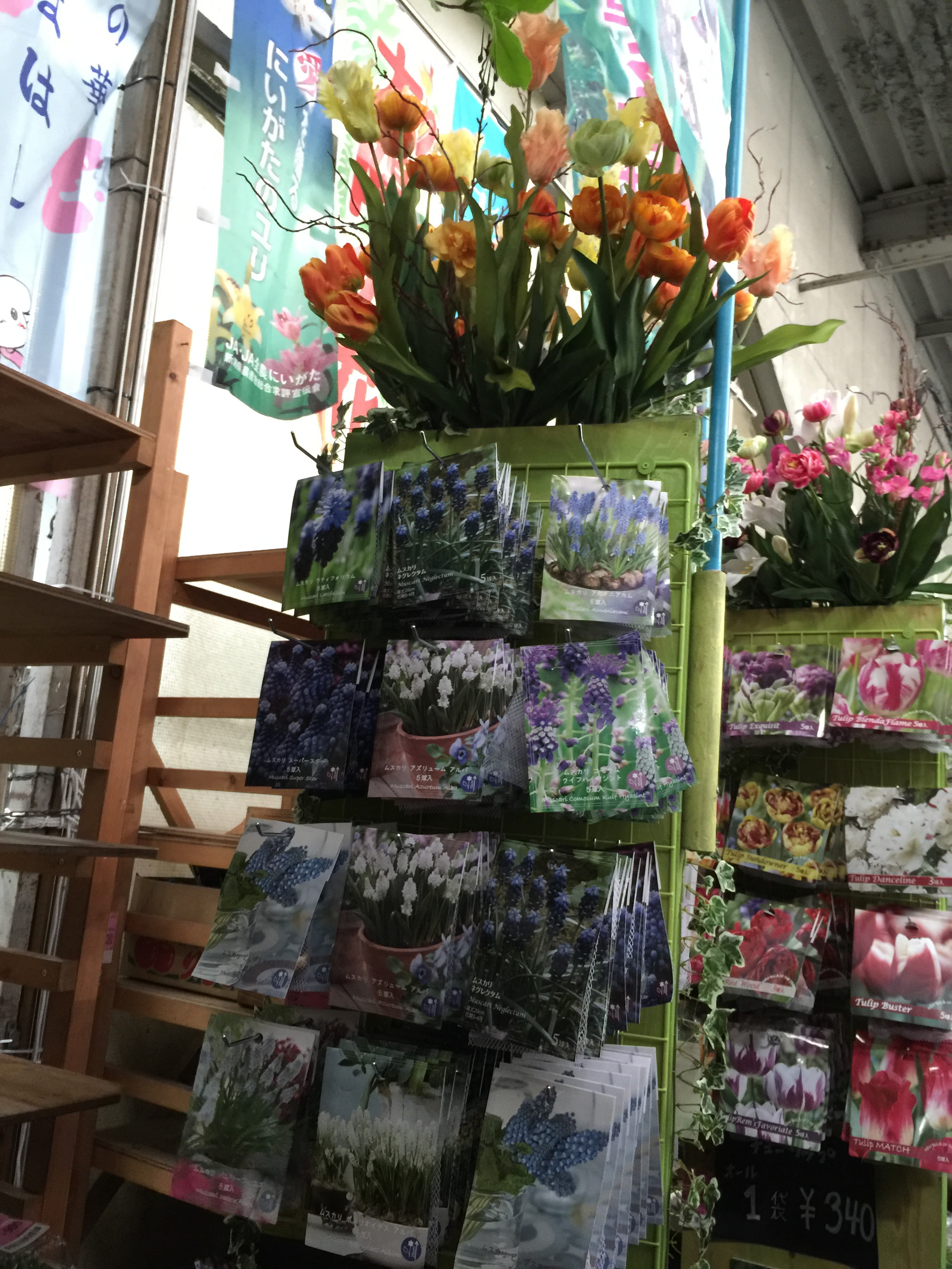 秋植え球根販売中 花市場の仲卸 大森花卉 おおもりかき