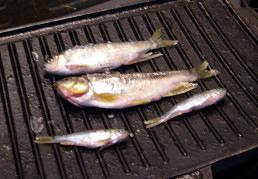 オイカワ カワムツの塩焼き