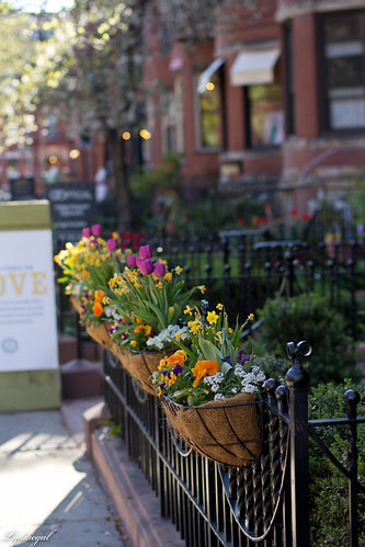 flowers on newbury.jpg