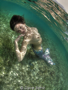 Underwater Photo Contest Entries By Dave Benz