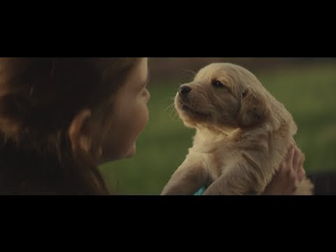This video of a lady and her dog can cause you to cry