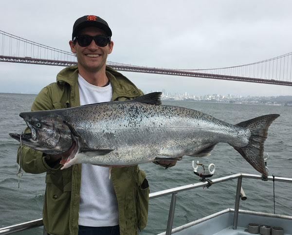 nor cal fish reports