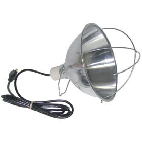 Heat Lamp