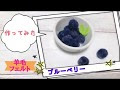[最も欲しかった] フェルト ブルーベリー 作り方 240624-フェルト ケーキ ブルーベリー 作り方