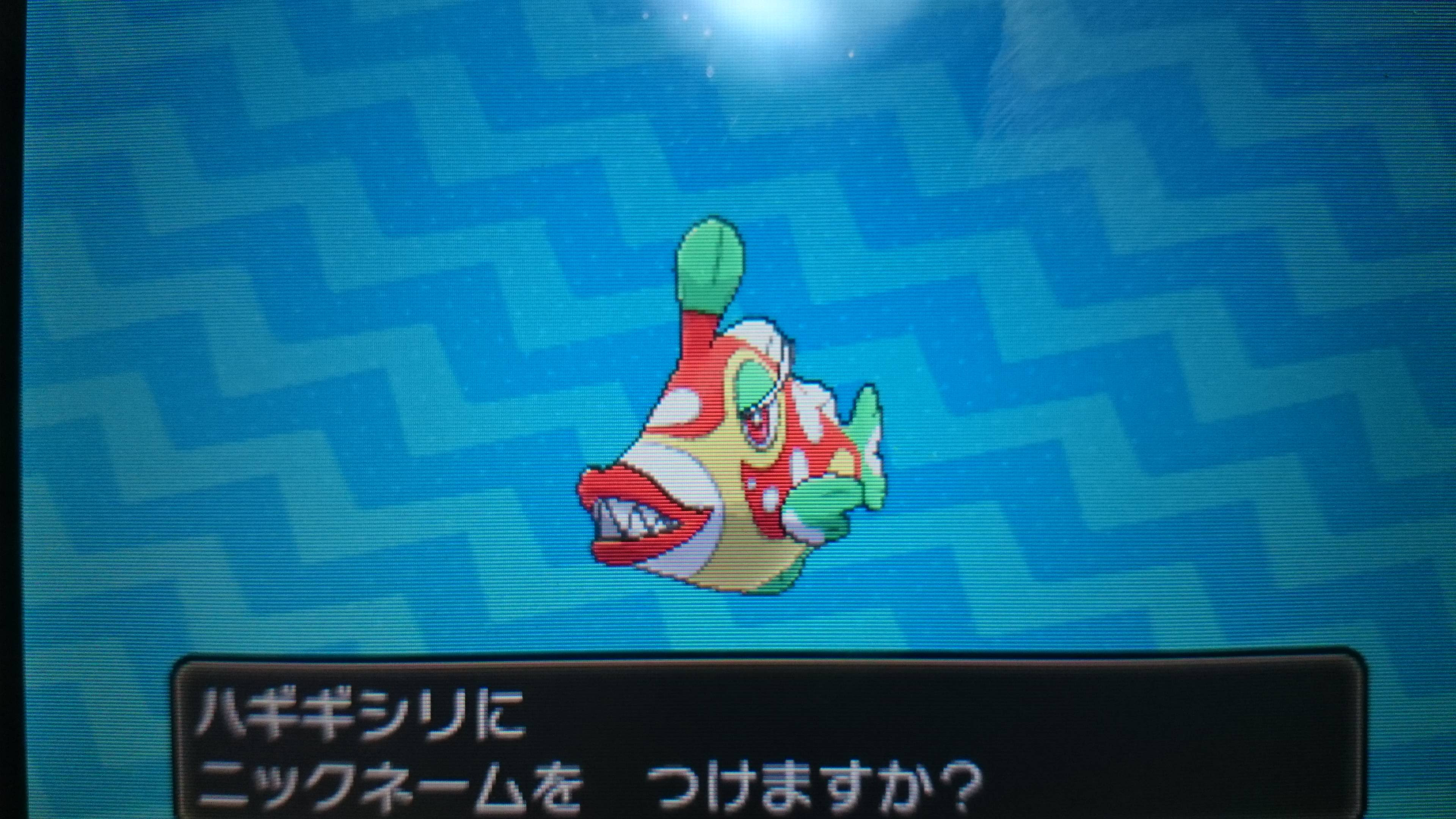 名無しさん 16 12 10 土 34 04 Id 34p 前スレ Br Http Open Open2ch Net Test Read Cgi Onjgame No 6 おんjポケモンsm部 リザードン 名無しさん Sage 16 12 10 土 21 41 14 Id Mra サンイチ 名無しさん