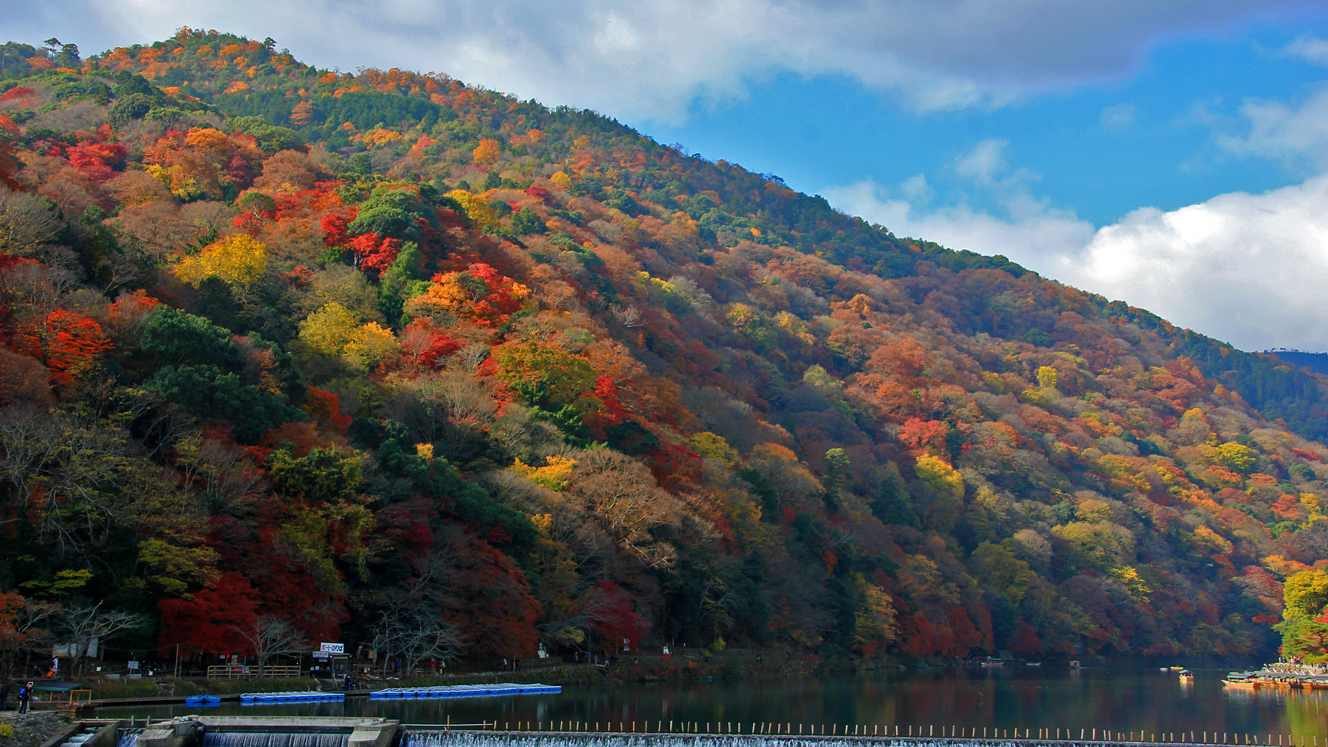 嵐山 紅葉 京都 壁紙 写真 フリー