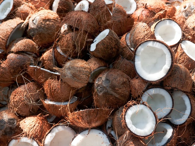 How Nigeria spends billions on coconut importation