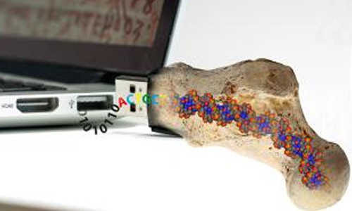 dna storage