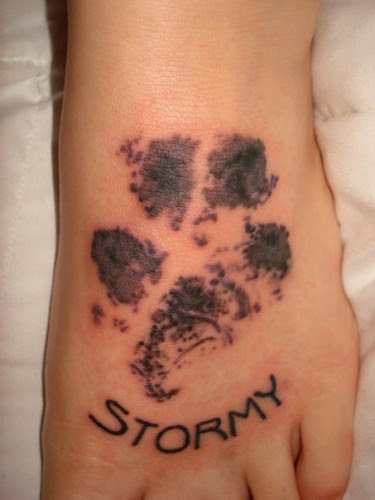 Paw tattoo.jpg (42 KB). Deceased pet tattoo fail. It resembles an infectious 